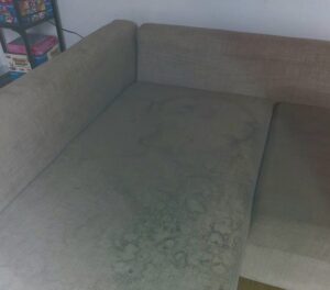 nettoyage canape vapeur